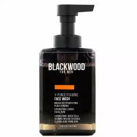 Blackwood For Men, X-Punge, мужская пенка для умывания, 216,35 мл