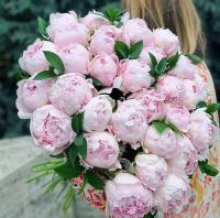 Букет Розовые пионы, красивый букет цветов, шикарный, цветы премиум, пионов