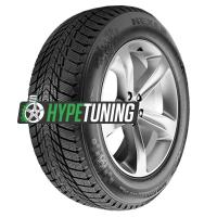 Nexen Winguard Ice Plus 205/50 R17 93T