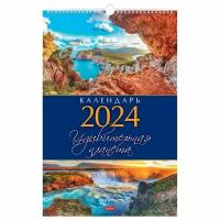 Календарь на гребне с ригелем на 2024 г., 30х45 см, люкс, "Удивительная планета", HATBER, 12Кнп3гр_29597 В комплекте: 2шт