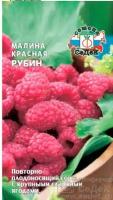 Малина "Седек" Рубин красная 0,05г