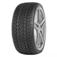 Arivo Winmaster ProX ARW3 195/65 R15 95T XL шина авт. зимняя нешипованная