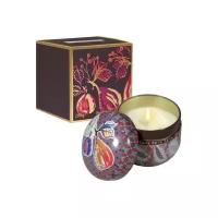 Fragonard Figue Noire Tabac Blond Candle свеча 200 гр для женщин