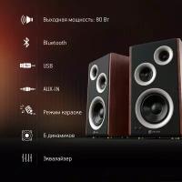 Колонки Bluetooth Oklick OK-117 BT, 2.0, черный [1193274]