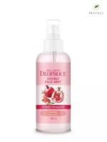 Deoproce Увлажняющий мист для лица Well-Being Hydro Face Mist Pomegranate с экстрактом граната, 100 мл