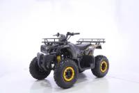 MOTAX ATV Grizlik T 200 LUX