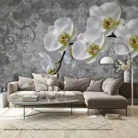 Фотообои 3д Ветка белой орхидеи 275x413 (ВхШ), бесшовные, флизелиновые, MasterFresok арт 10-833