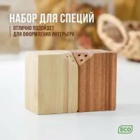 Катунь Набор для специй, 10×5×7 см, 2 шт, на магнитах, бамбук