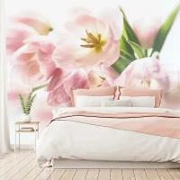 Фотообои Розовые тюльпаны на белом фоне 275x415 (ВхШ), бесшовные, флизелиновые, MasterFresok арт 10-122
