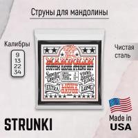 Струны для мандолины Ernie Ball Mandolin 2323 9-34