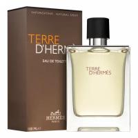 Hermes Terre D' pour homme туалетная вода 100мл