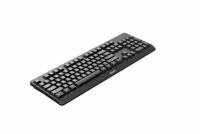 Аксессуары Philips Wireless Keyboard SPK6307BL 2.4GHz 104 key Black