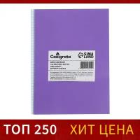 Calligrata сменный блок д/тетр на кольцах А5 80л кл Calligrata офсет №1 60 гр/м2 бел 100%