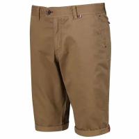 Шорты Regatta Santino Short RMJ218 (RUS S)