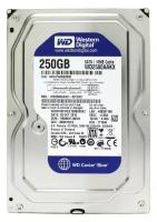 Жесткий диск Western Digital WD2500AAKX 250Gb SATAIII 3,5" HDD