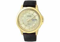 Наручные часы Citizen BF2013-05PE