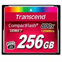 Карта памяти Transcend Premium TS256GCF800 256GB