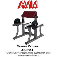 Профессиональный силовой тренажер для зала скамья Скотта AVM AC-C111