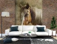 Фотообои Грустный конь 260x260 (ВхШ), бесшовные, флизелиновые, MasterFresok арт 17-4325