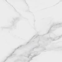 Керамогранитная плитка Gracia Ceramica Casa Blanca white PG 01 (600х600) белая (кв.м.)
