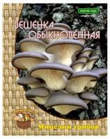 Мицелий грибов Вешенка Обыкновенная, 12 шт