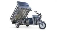 Грузовой электротрицикл RUTRIKE D4 NEXT II 60V1500W