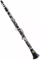 Clarinet Bb Amati ACL202S-O - Student clarinet from ABS with silver-plated keywork, 18 keys, 6 rings. ABS case included