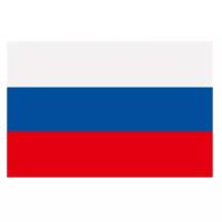 Флаг Российской Федерации 30х40см без флагштока FL4D под древко 25мм
