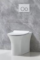 Унитаз приставной безободковый BelBagno ANCONA BB1224CBR-P