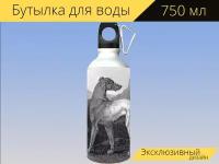 Бутылка фляга для воды "Ирландский волкодав, собака, собачий" 750 мл. с карабином и принтом