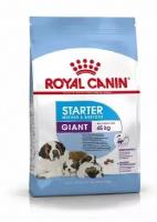 Royal Canin RC Для щенков гигантских пород: 3нед.-2мес. беременных и кормящих сук (Giant Starter) 29960400R029960400R1 4 кг 11114 (2 шт)