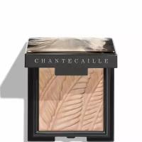 Матовые тени для век Chantecaille Wild Mustang, Bay, 2,5 гр