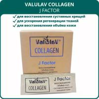 ValulaV Collagen J Factor, 20 стиков. Морской коллаген 1, 4, 7 типа для восстановления кожи, суставов и хрящей