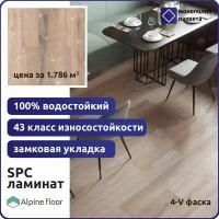 Кварцвиниловая плитка SPC ламинат Alpine Floor Premium XL ABA-ECO-7-20 Дуб персиковый 1220 х 183 х 8 мм 43 класс, встроенная подложка