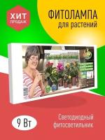 Растущий led фитосветильник Zdorovya Klad 9 Ватт для досветки растений