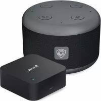 Умная колонка PRESTIGIO SmartVoice/Perenio Red, серый (PSS105M_DG_PETRA01)