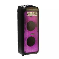 TELEFUNKEN Портативная колонка Telefunken TF-MS3303, 90 Вт, 5000 мАч, TWS, AUX, FM, дисплей, подсветка