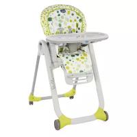 Стульчик для кормления Chicco Polly Progres5 Kiwi