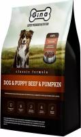 GINA CLASSIC DOG & PUPPY BEEF & PUMPKIN для собак и щенков с говядиной и тыквой (1 кг)