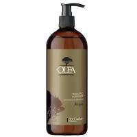 Питательный шампунь для волос с аргановым маслом Olea Argan 1000 мл Dott Solari