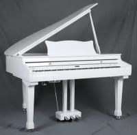 Цифровое пианино Ringway GDP6320 Polish White Цифровой кабинетный рояль(Цифровые пианино)