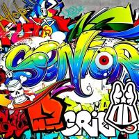 Моющиеся виниловые фотообои Граффити Graffiti. Seniors, 250х250 см