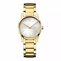 Наручные часы Calvin Klein City K2G23546
