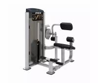 Precor Разгибание спины Precor Vitality Series C011ES (стек 91 кг)