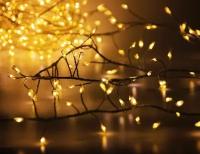 Электрогирлянда "Фейерверк" (роса), mini-LED огней, серебряная проволока, уличная, Koopman International