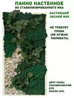 Панно из стабилизированно мха GardenGo в рамке цвета скандинавский бук, 50х100 см, цвет мха зеленый