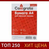 Бумага А4, 100 листов 80г/м2, белизна 146% CIE, класс С, в т/у плёнке