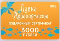 Подарочный сертификат 3000 рублей