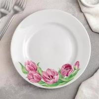Тарелка "Розовые тюльпаны", d=20 см, белая, фарфор