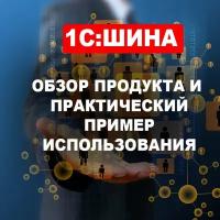 Видеокурс 1С:шина. Обзор продукта И практический пример использования